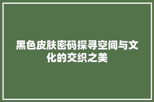 黑色皮肤密码探寻空间与文化的交织之美