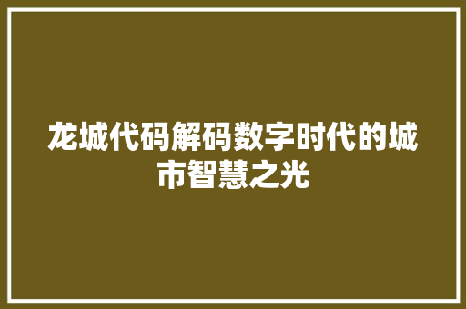 龙城代码解码数字时代的城市智慧之光