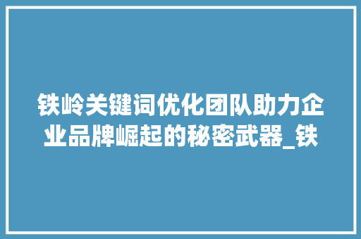 铁岭关键词优化团队助力企业品牌崛起的秘密武器_铁岭关键词优化团队