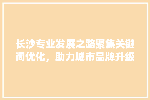长沙专业发展之路聚焦关键词优化，助力城市品牌升级_长沙专业的关键词优化
