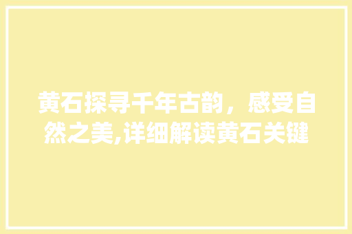 黄石探寻千年古韵，感受自然之美,详细解读黄石关键词优化步骤_黄石关键词优化步骤