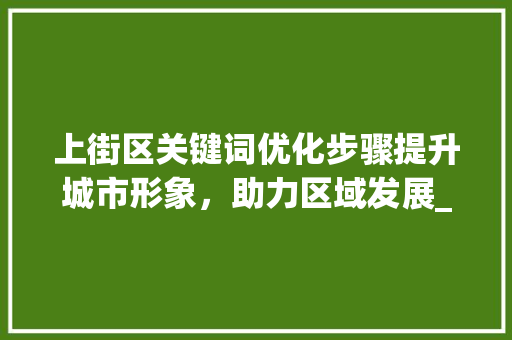 上街区关键词优化步骤提升城市形象，助力区域发展_上街区怎样优化关键词