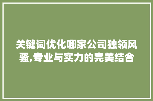 关键词优化哪家公司独领风骚,专业与实力的完美结合_关键词优化哪家公司好