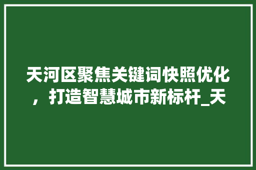 天河区聚焦关键词快照优化，打造智慧城市新标杆_天河区关键词快照优化