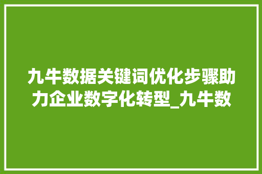 九牛数据关键词优化步骤助力企业数字化转型_九牛数据关键词优化