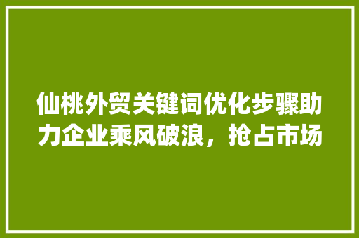 仙桃外贸关键词优化步骤助力企业乘风破浪，抢占市场份额_仙桃外贸关键词优化排名