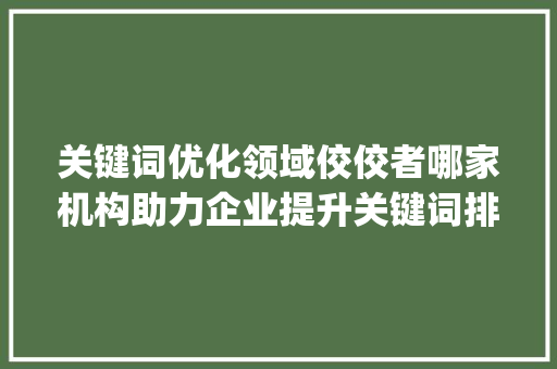 关键词优化领域佼佼者哪家机构助力企业提升关键词排名效果最佳_提升关键词优化哪家好