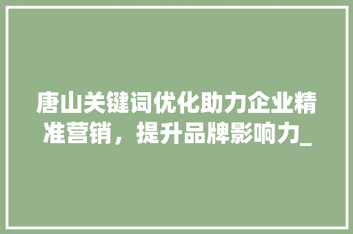 唐山关键词优化助力企业精准营销，提升品牌影响力_唐山关键词优化的工具