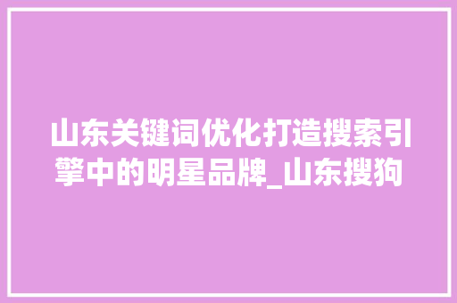 山东关键词优化打造搜索引擎中的明星品牌_山东搜狗关键词优化