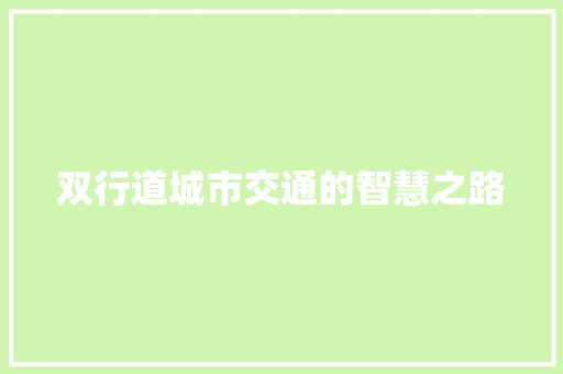 双行道城市交通的智慧之路