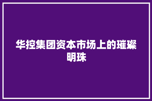 华控集团资本市场上的璀璨明珠
