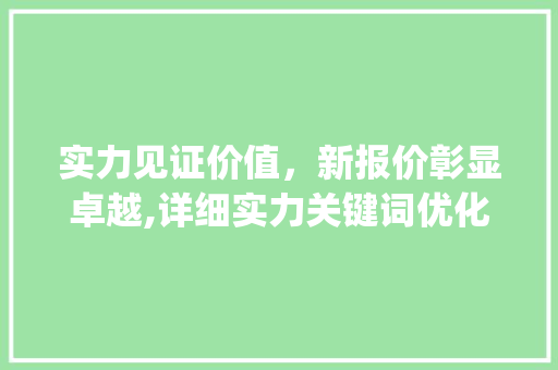 实力见证价值，新报价彰显卓越,详细实力关键词优化步骤_有实力关键词优化新报价