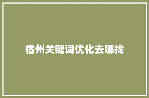 宿州关键词优化去哪找