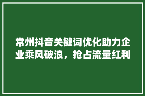 常州抖音关键词优化助力企业乘风破浪，抢占流量红利_常州抖音关键词优化机构