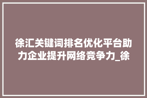徐汇关键词排名优化平台助力企业提升网络竞争力_徐汇关键词排名优化平台