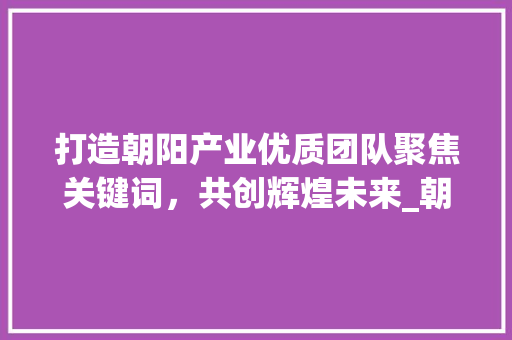 打造朝阳产业优质团队聚焦关键词，共创辉煌未来_朝阳关键词优化优质团队