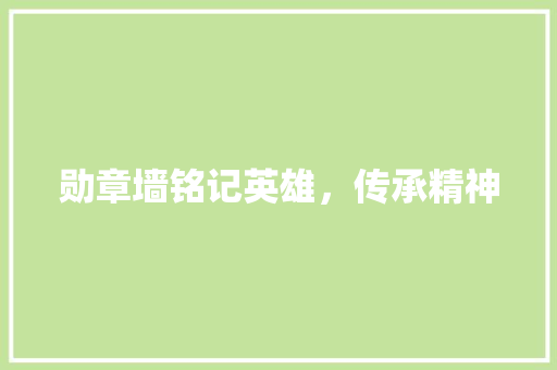 勋章墙铭记英雄，传承精神