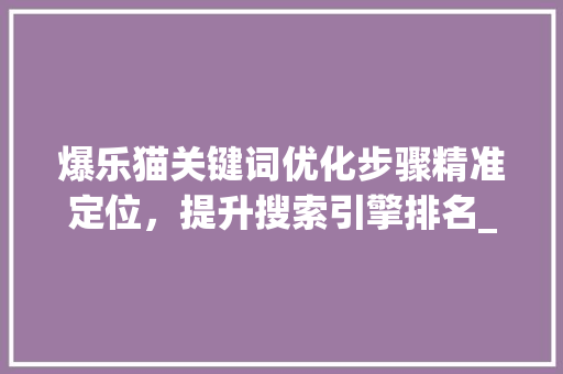 爆乐猫关键词优化步骤精准定位，提升搜索引擎排名_爆乐猫怎么优化关键词