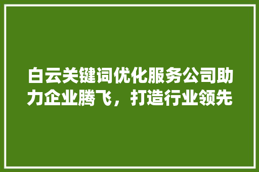 白云关键词优化服务公司助力企业腾飞，打造行业领先品牌_白云关键词优化服务公司