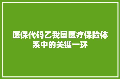 医保代码乙我国医疗保险体系中的关键一环