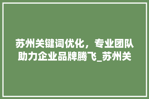 苏州关键词优化，专业团队助力企业品牌腾飞_苏州关键词优化哪家专业