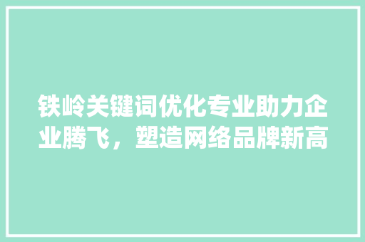 铁岭关键词优化专业助力企业腾飞，塑造网络品牌新高度_铁岭关键词优化哪家专业