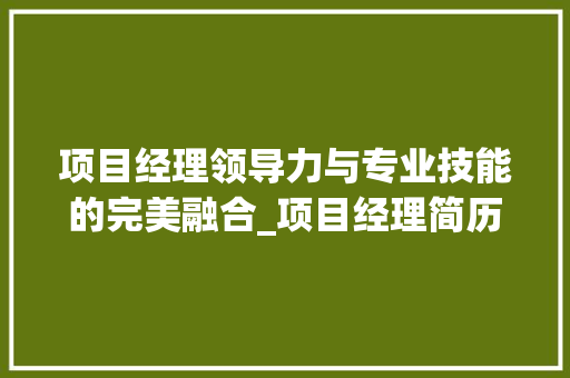 项目经理领导力与专业技能的完美融合_项目经理简历关键词优化