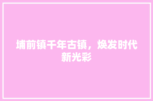埔前镇千年古镇，焕发时代新光彩