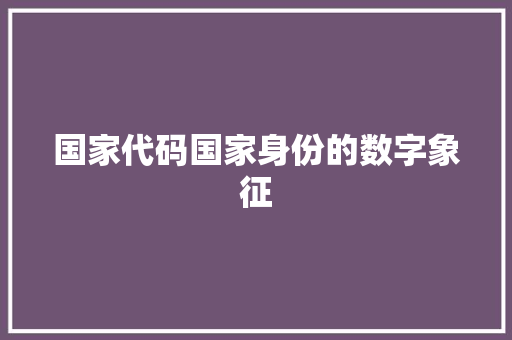 国家代码国家身份的数字象征