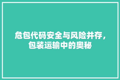 危包代码安全与风险并存，包装运输中的奥秘