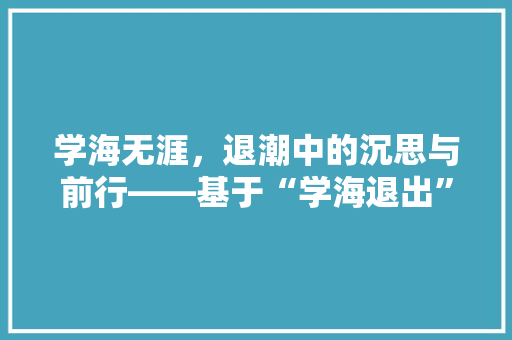 学海无涯，退潮中的沉思与前行——基于“学海退出”现象的详细解读