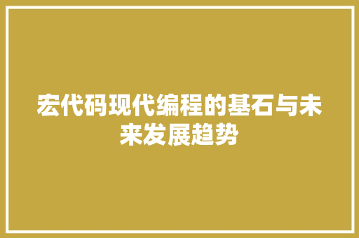 宏代码现代编程的基石与未来发展趋势