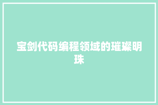 宝剑代码编程领域的璀璨明珠
