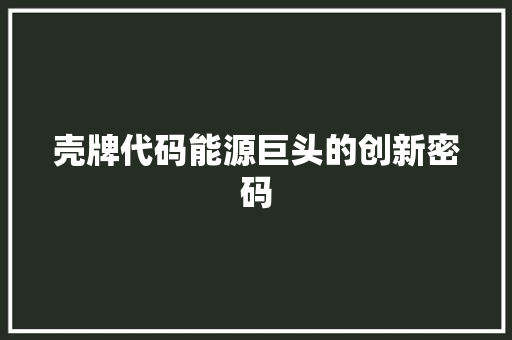 壳牌代码能源巨头的创新密码