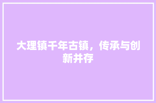 大理镇千年古镇，传承与创新并存