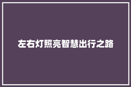 左右灯照亮智慧出行之路