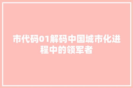 市代码01解码中国城市化进程中的领军者