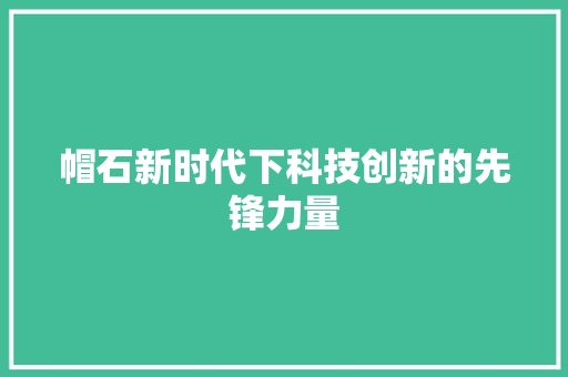 帽石新时代下科技创新的先锋力量