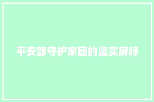 平安部守护家园的坚实屏障
