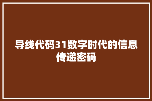 导线代码31数字时代的信息传递密码