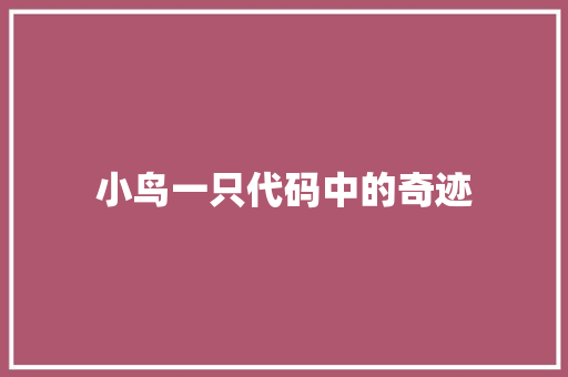 小鸟一只代码中的奇迹