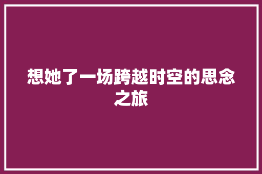 想她了一场跨越时空的思念之旅