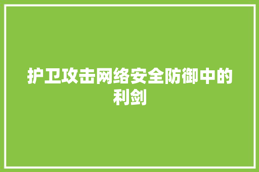 护卫攻击网络安全防御中的利剑