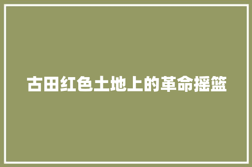 古田红色土地上的革命摇篮