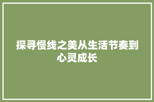 探寻慢线之美从生活节奏到心灵成长
