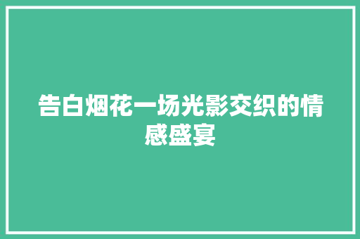 告白烟花一场光影交织的情感盛宴