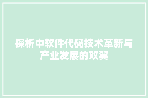 探析中软件代码技术革新与产业发展的双翼