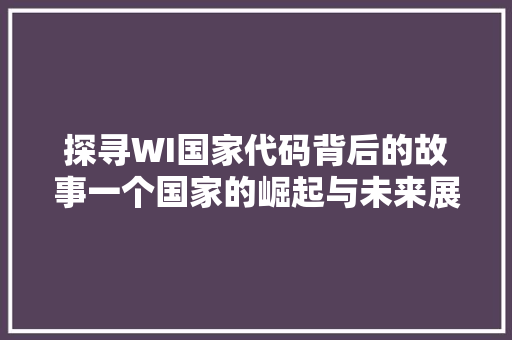 探寻WI国家代码背后的故事一个国家的崛起与未来展望