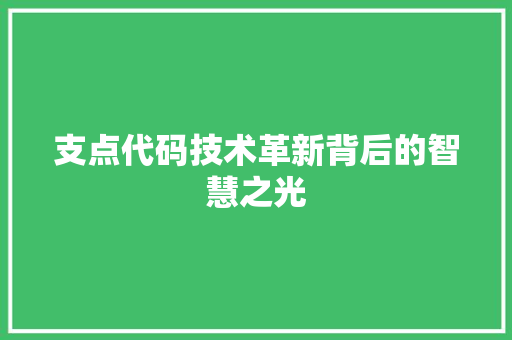 支点代码技术革新背后的智慧之光