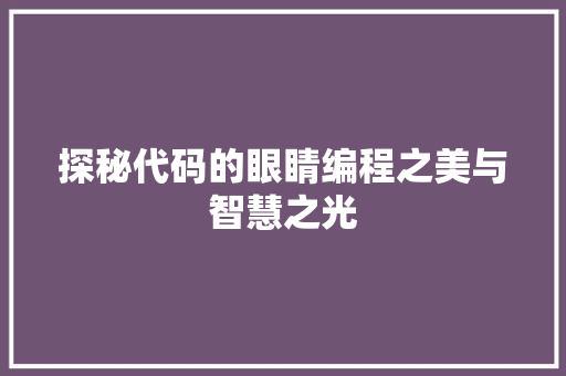 探秘代码的眼睛编程之美与智慧之光